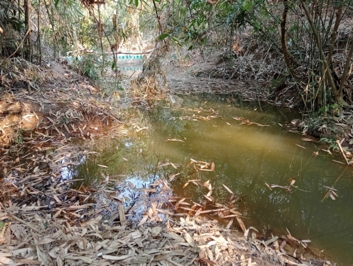 C:\Users\user\Desktop\Video Documentation March 2022\Upper Bamonpara\IMG20220317032525_01.jpg